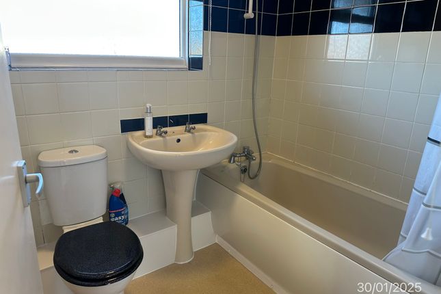 10, Dairy Hill, Halesworth photo 5