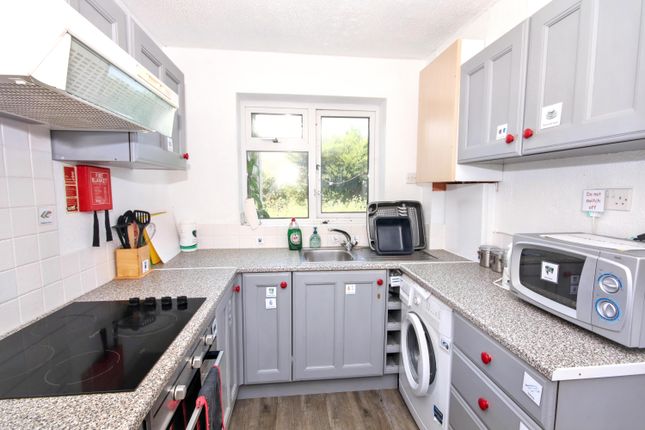 56, College Drive, King's Lynn photo 4