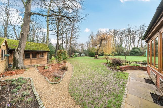 Copse Lodge, Standon Lane, Ockley photo 4