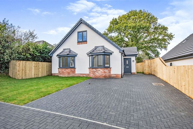 Thumbnail Detached house for sale in Cwrt Dolwerdd, Boncath