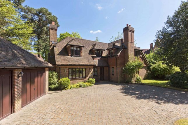 Thumbnail Detached house to rent in Oldfield Wood, Woking, Surrey