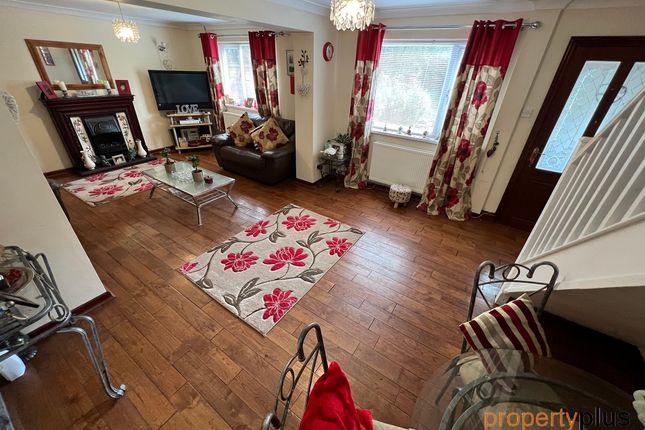 34, Ynys Hir, South Wales photo 3