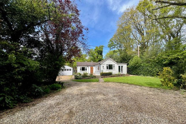 Detached bungalow for sale in Southwood Chase, Danbury, Chelmsford CM3