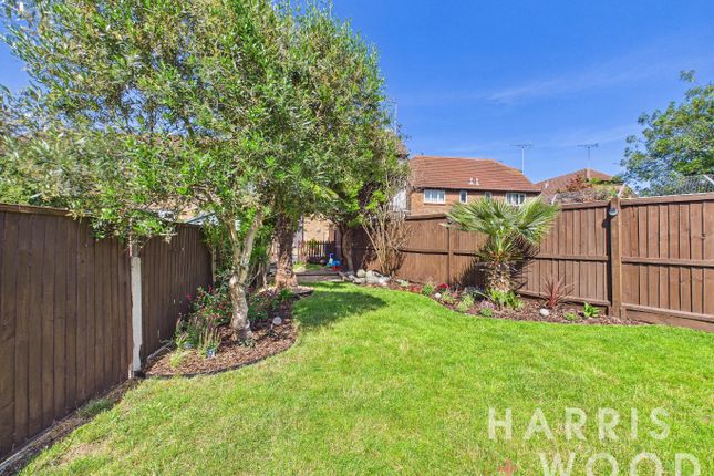15 Tabor Road, Colchester, Essex photo 4