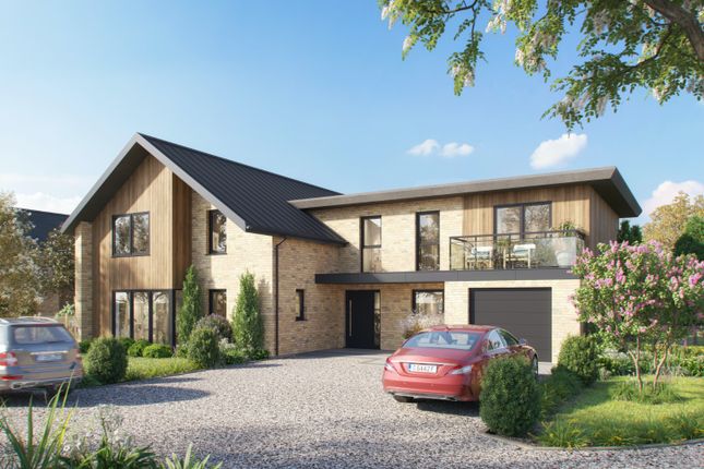 Thumbnail Detached house for sale in Primrose Hill, Swanton Morley