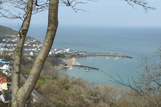 (View)