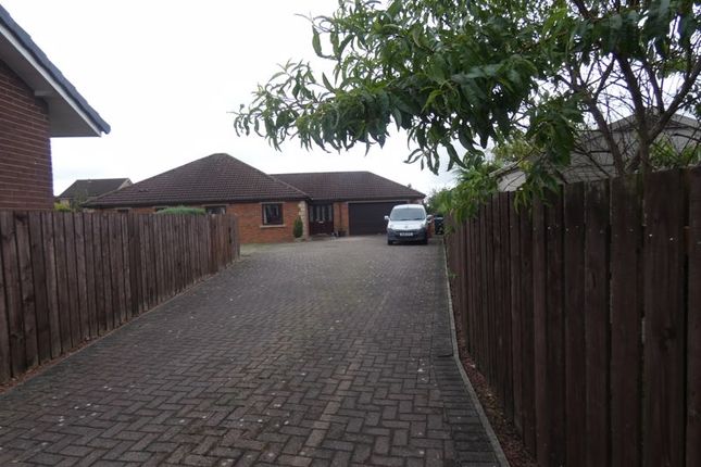 Entrance Driveway