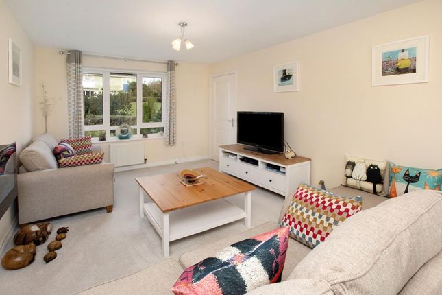 16 Millin Way, Dawlish photo 3