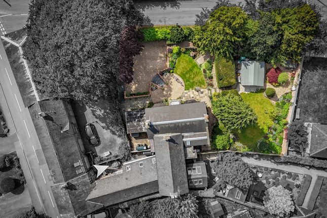 Plot View