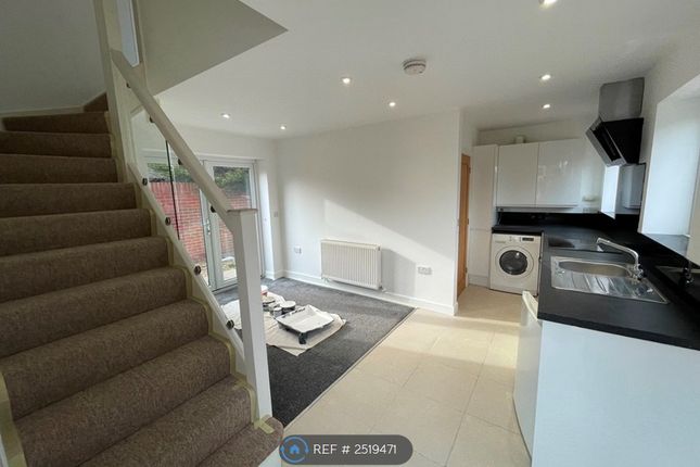 Living Area/Kitchen