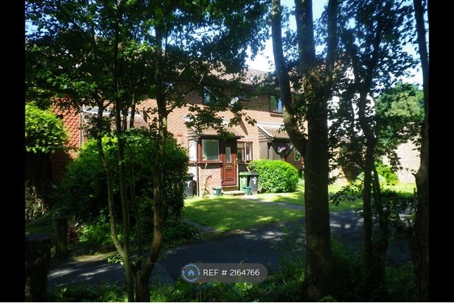 Thumbnail Terraced house to rent in Honeysuckle Lane, Dorking