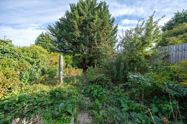 145, Milton Street, Maidstone photo 3