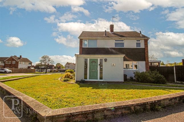 Thumbnail Semi-detached house to rent in Broadmead Road, Colchester, Essex