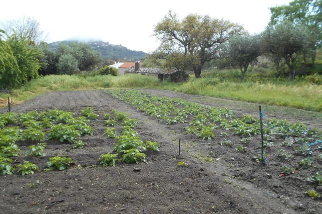 Farm for sale in Monsanto E Idanha-A-Velha, Idanha-A-Nova, Castelo Branco, Central Portugal