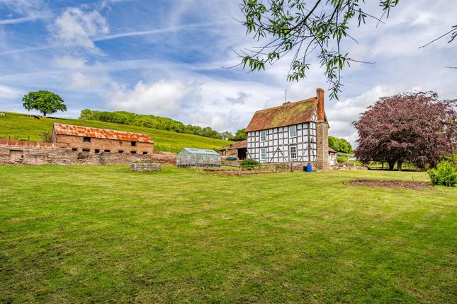 Bodenham, Herefordshire photo 3