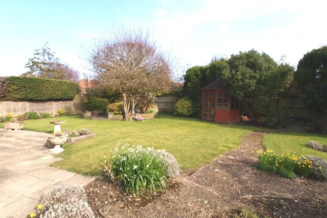 Semi-detached bungalow for sale in The Grove, Eastbourne