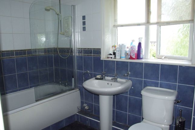 Photograph 24