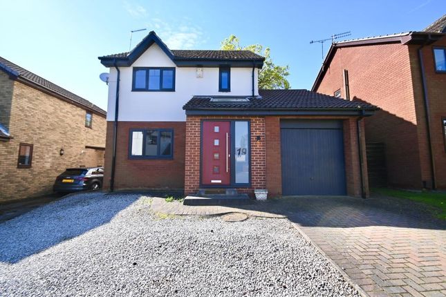 Thumbnail Detached house to rent in Verger Close, Rossington, Doncaster