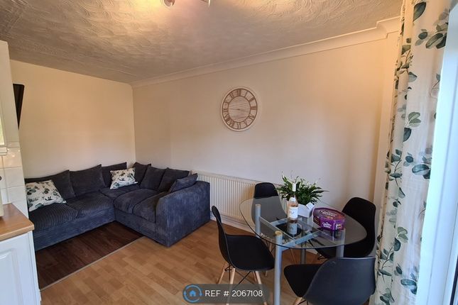 Semi-detached house to rent in Colchester, Colchester