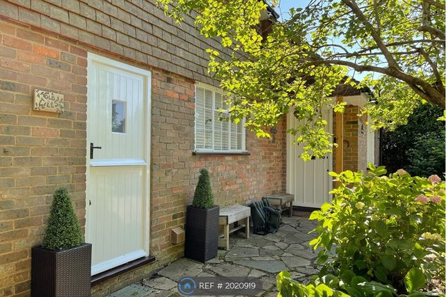 Thumbnail Detached house to rent in Mark Cross, East Sussex