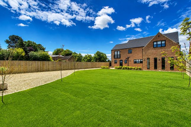 37 Hall Road, Wisbech photo 2