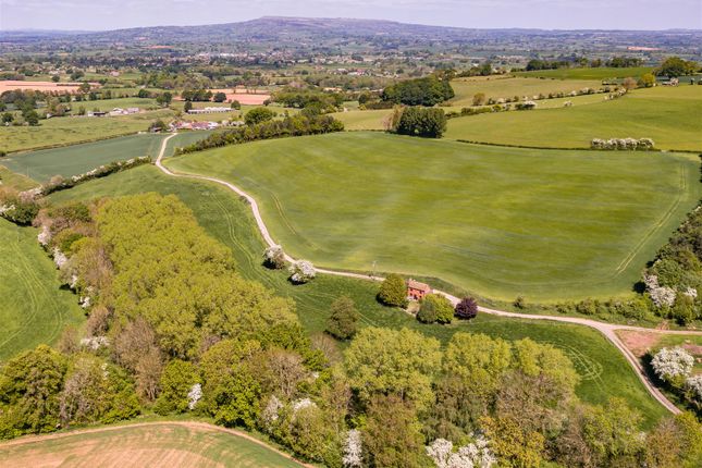 Dji_0503.Jpg