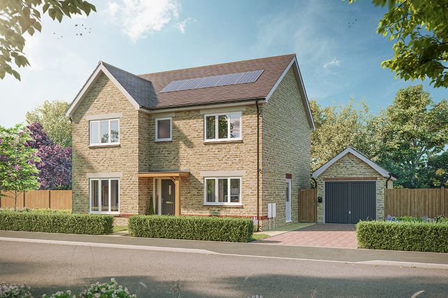 [BDW] Ds12758 [Bh] Sandpiper_132_Hr_Web