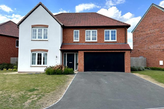 Front Aspect 288
