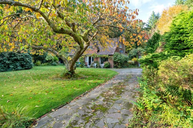 Thumbnail Detached house for sale in Sandy Lane, Haslemere