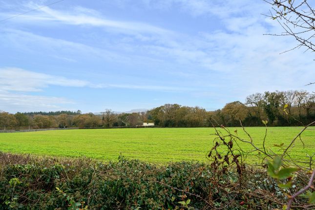 10, Langaller Close, Newton Abbot photo 2