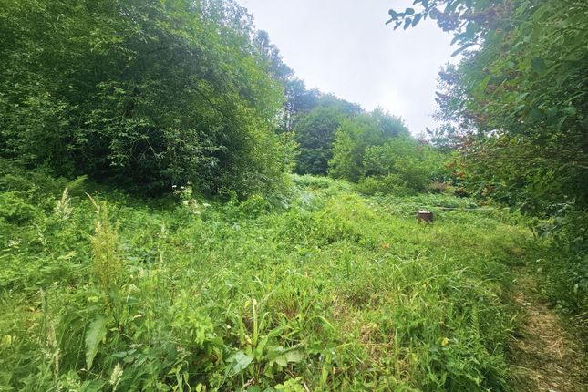 Willows, Knucklas Road, Knighton photo 4
