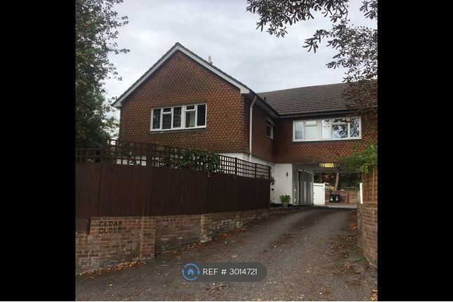 A Cedar Close, Hogfair Lane, Burnham photo 5