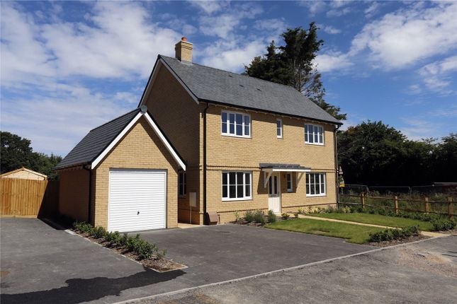 Thumbnail Detached house for sale in Park Road, Hellingly, East Sussex