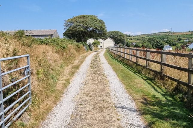 Mount Pleasant Farm, Carnkie, Helston photo 4