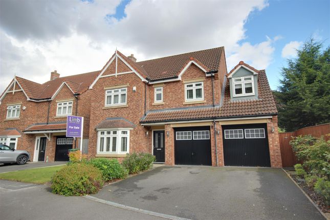 Thumbnail Detached house for sale in Cleminson Gardens, Cottingham