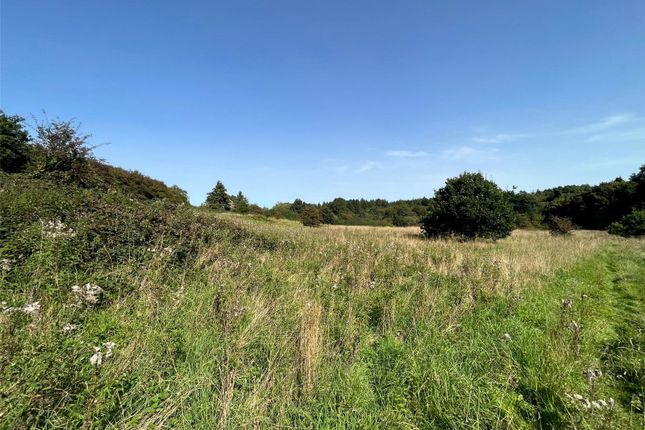 Land for sale in Marley Lane, Battle, East Sussex