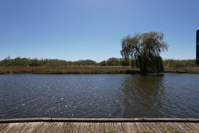 5, Crabbetts Marsh, Horning photo 2