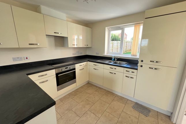 42, Exeter photo 2