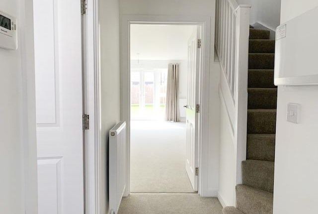 29, Peterborough photo 2