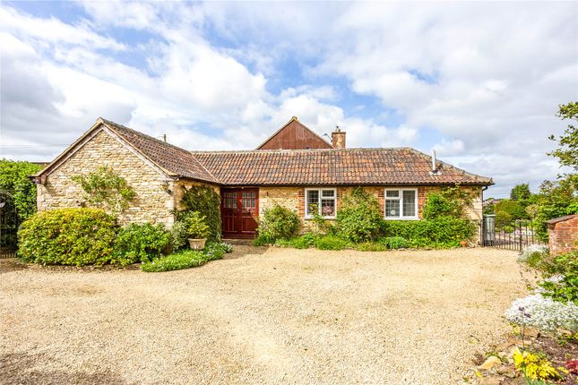 Thumbnail Bungalow for sale in Yatton Keynell, Wiltshire