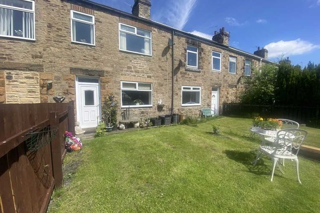 Thumbnail Terraced house for sale in Langley Street, Langley Park, Durham