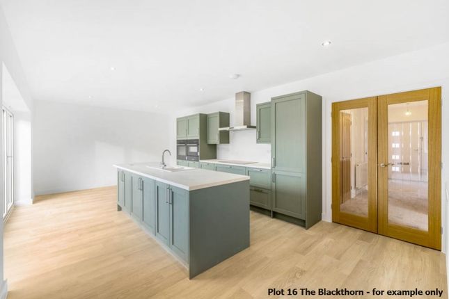 Plot 47 The Blackthorn, Brunswick Fields, Spalding photo 2