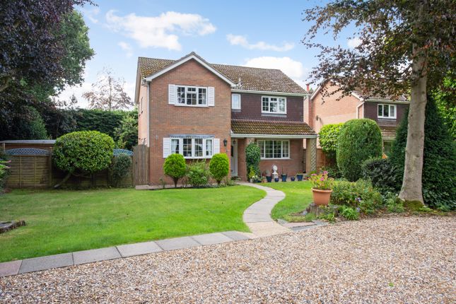 Thumbnail Detached house for sale in Beech Way, St. Albans