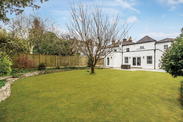 25, Austen Road, Guildford photo 4