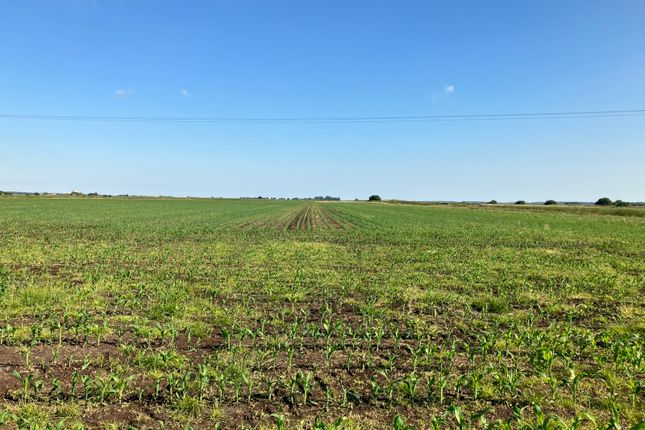 Land
