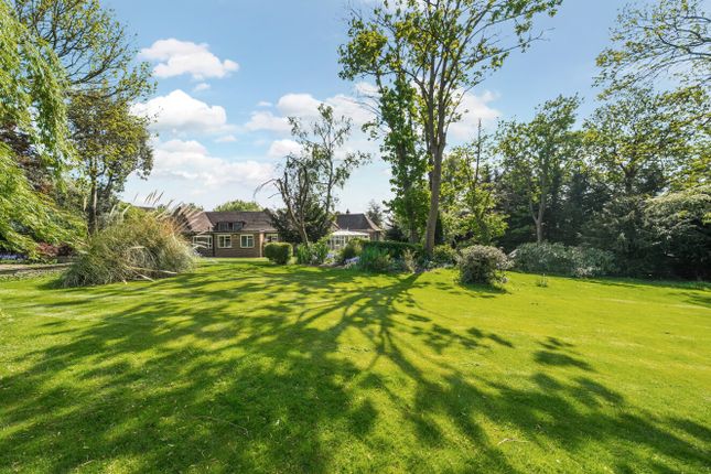 Thumbnail Detached house for sale in Oakwood Close, Chislehurst, Kent