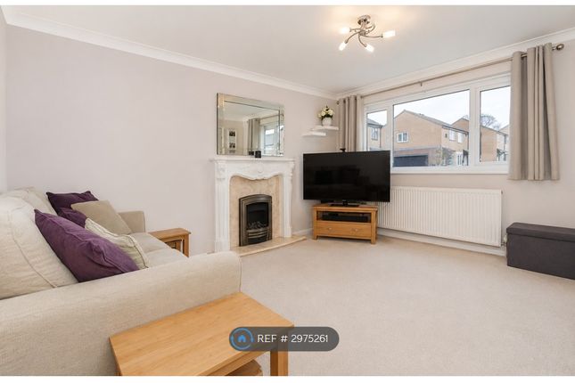 Crestwood Court, Sheffield photo 2