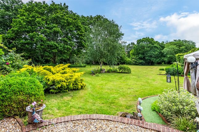 Lyne Lodge,, Rusper Road, Dorking photo 4