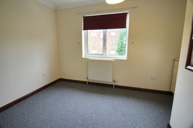 1A, Brightys Opening, Norwich photo 5