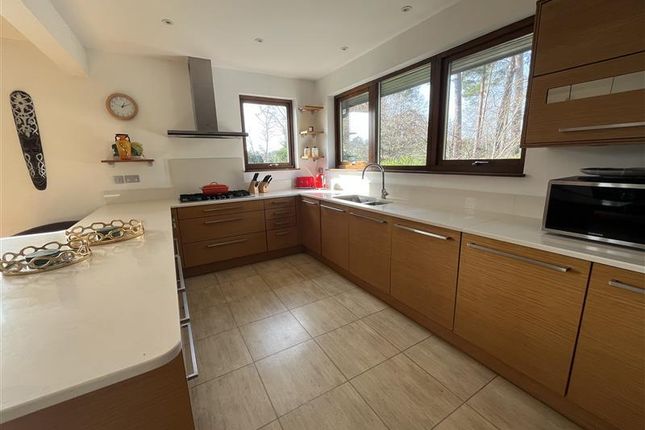 Hurstwood, Ascot photo 2
